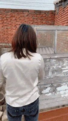 搞笑动图笑死人的节奏,搞笑动图600张