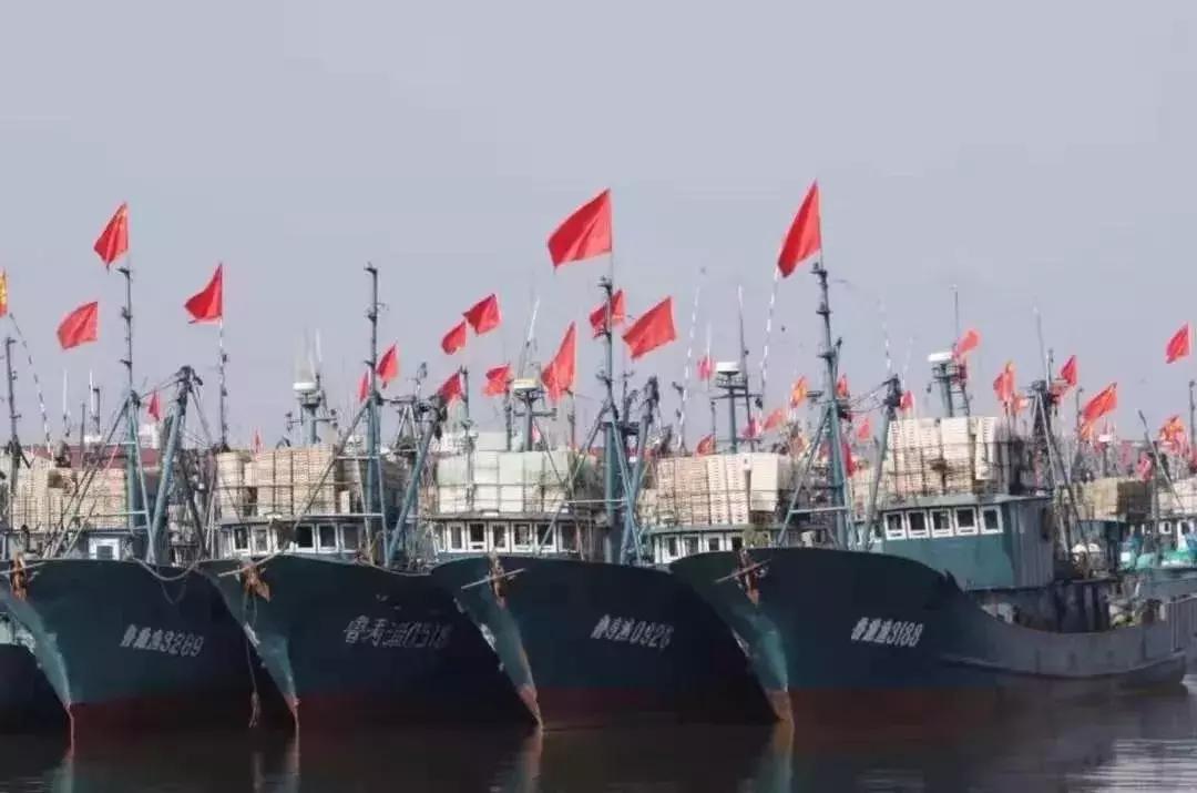 寿光羊口开海,寿光羊口哪个海鲜最好