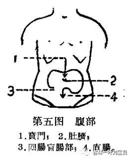 陈宇清《胃病推拿法》手法学习（二）