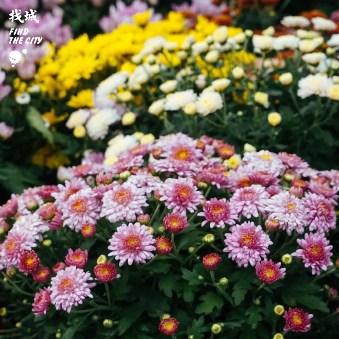 南宁最好的批发市场,南宁最便宜的家具批发市场在哪里