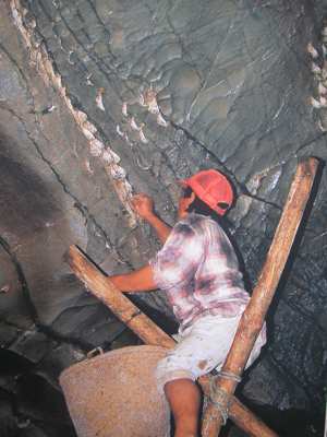 印尼燕窝跟马来燕窝哪个好,sohealthy燕窝是印尼燕窝吗