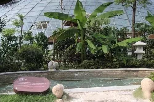 苏州乐园四季恒温温泉,苏州乐园四季恒温水乐园在哪里