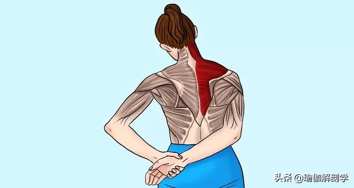 背部肩颈瑜伽,缓解腰颈酸痛的瑜伽动作