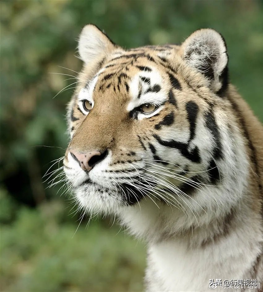 ps发光logo制作教程,ps软件教程制作发光特效