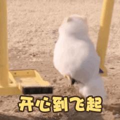 这群女人购物太野了,一年靠买小样省下2个月工资!