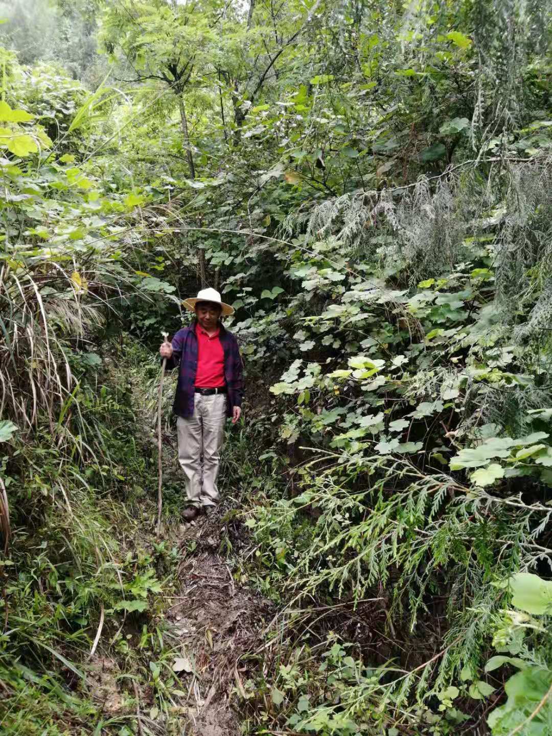 重庆奉节三国故事,奉节的故事