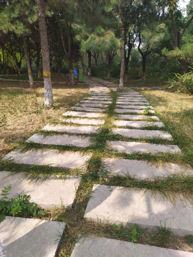 东环公园冬季图片,东环公园景点的介绍