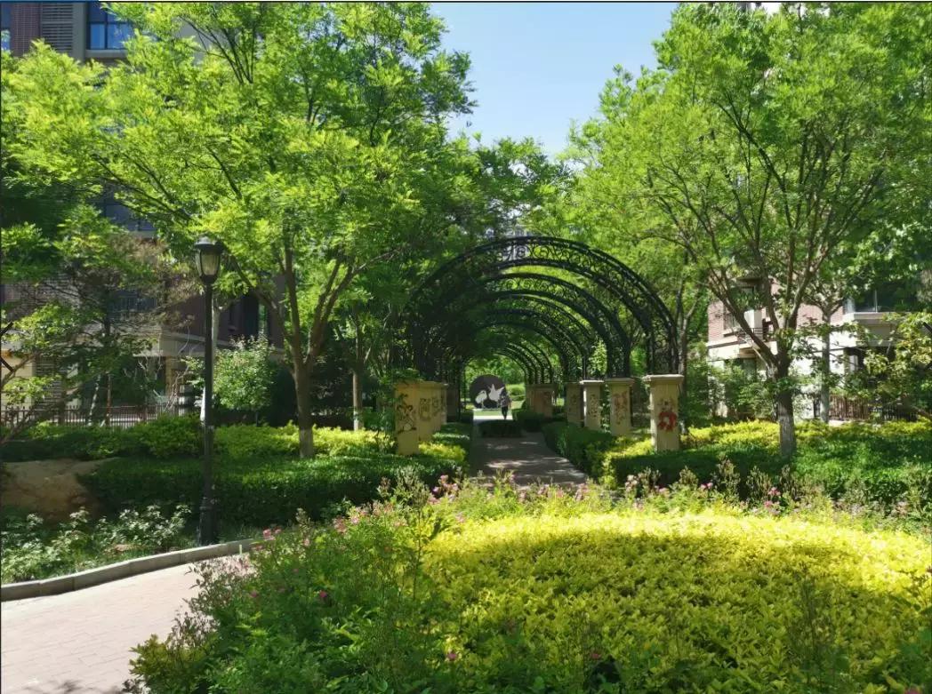 关于龙湾城片区院长这么说，附带优质社区踩盘，你们猜猜是哪里？