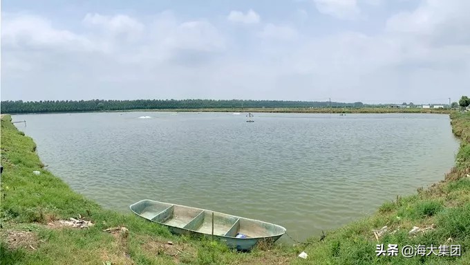 从优秀员工到优质客户，他与海大共同走过的十八年