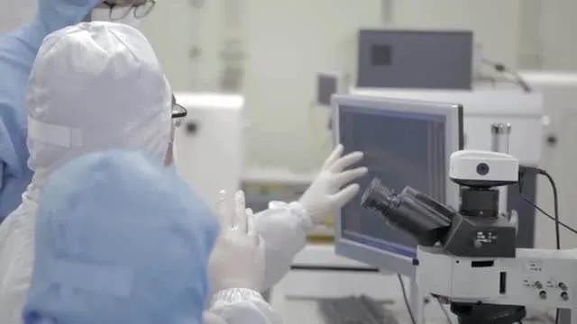 别拿鸡毛当令箭的讽刺图片,别拿鸡毛当令箭中的令箭啥样