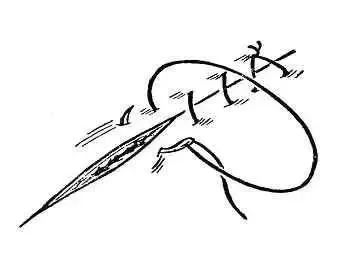 外科缝合方法笔记,兽医外科手术中最常用的缝合方法