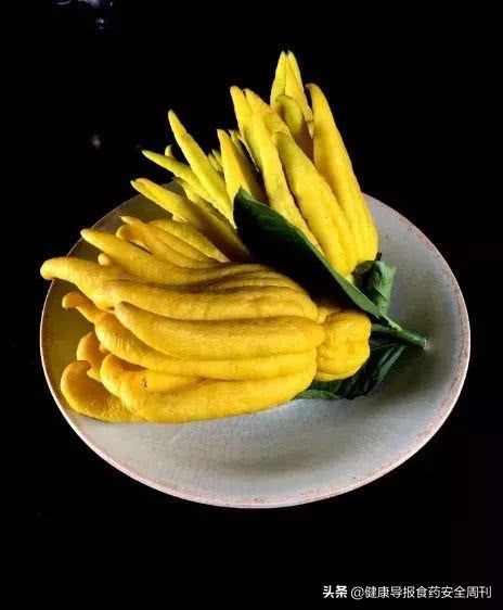 佛手香橼的功效与作用,中药佛手图片