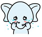 9岁小天使捐献器官延续大爱,14岁小天使遗体捐献器官