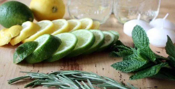 养什么植物有杀蚊子但对人无伤害,什么植物驱蚊子效果最好好养活