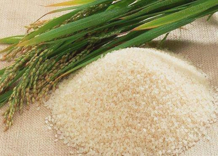 鲜米是湿米吗,鲜米营养
