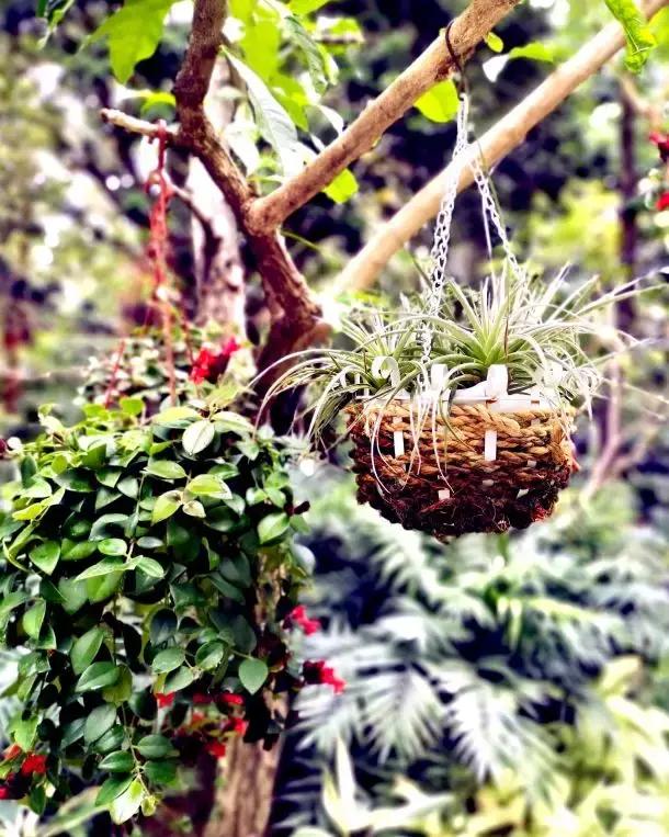 作为唐山人,唐山人还能出去旅游吗