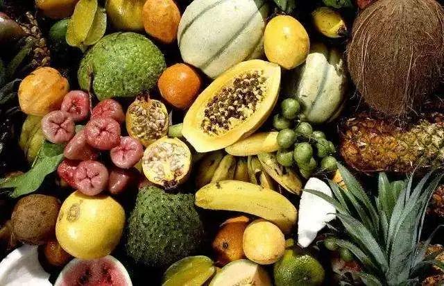 西双版纳风景之旅自由行旅游攻略,邂逅雨林西双版纳秘境之旅