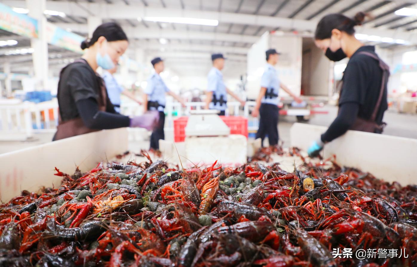 湖北潜江：全警上阵护好“一只虾”