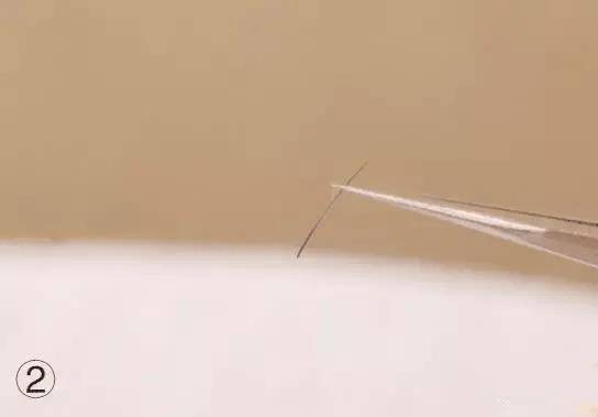 嫁接睫毛技术进行中,m型嫁接睫毛教程零基础手法