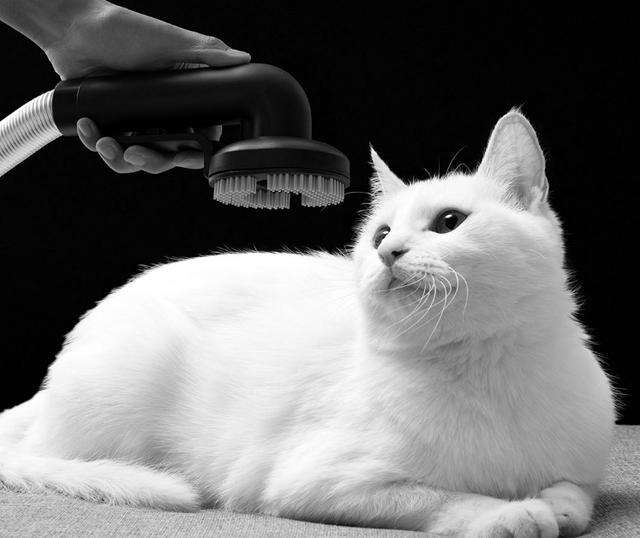 戴森和睿米吸尘器哪个好用,戴森吸尘器必胜