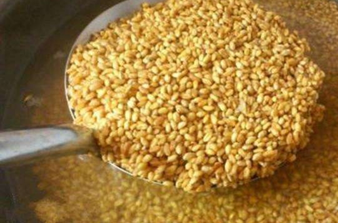 钓鲫鲤鱼用什么饵,钓鲫鲤鱼组合饵