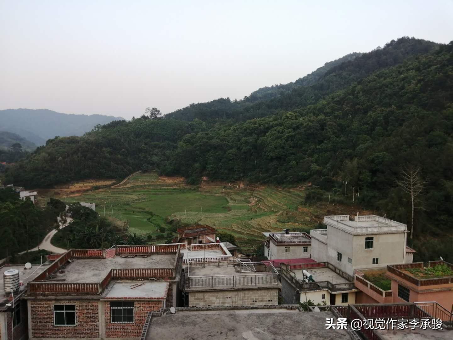 哦，德保县荣华乡乐屯，我土土的故乡和土土的家乡人，春天好！