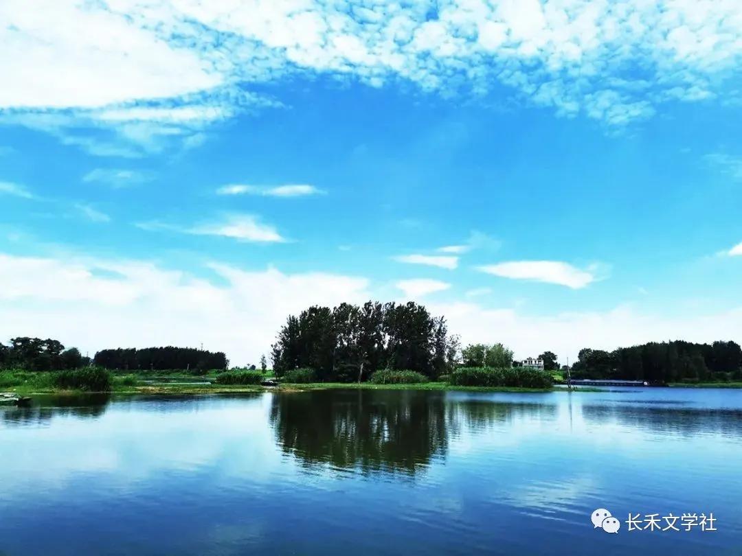 馋猫鼻子尖下句,馋猫鼻子尖是什么意思