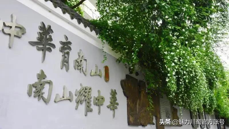 绵阳南山中学办学理念,家长评价绵阳南山中学真实水平