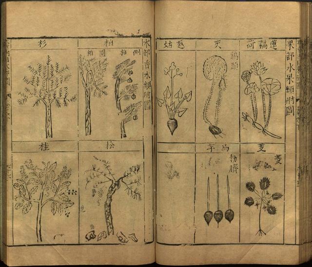 李时珍本草纲目书目录,李时珍本草纲目下卷