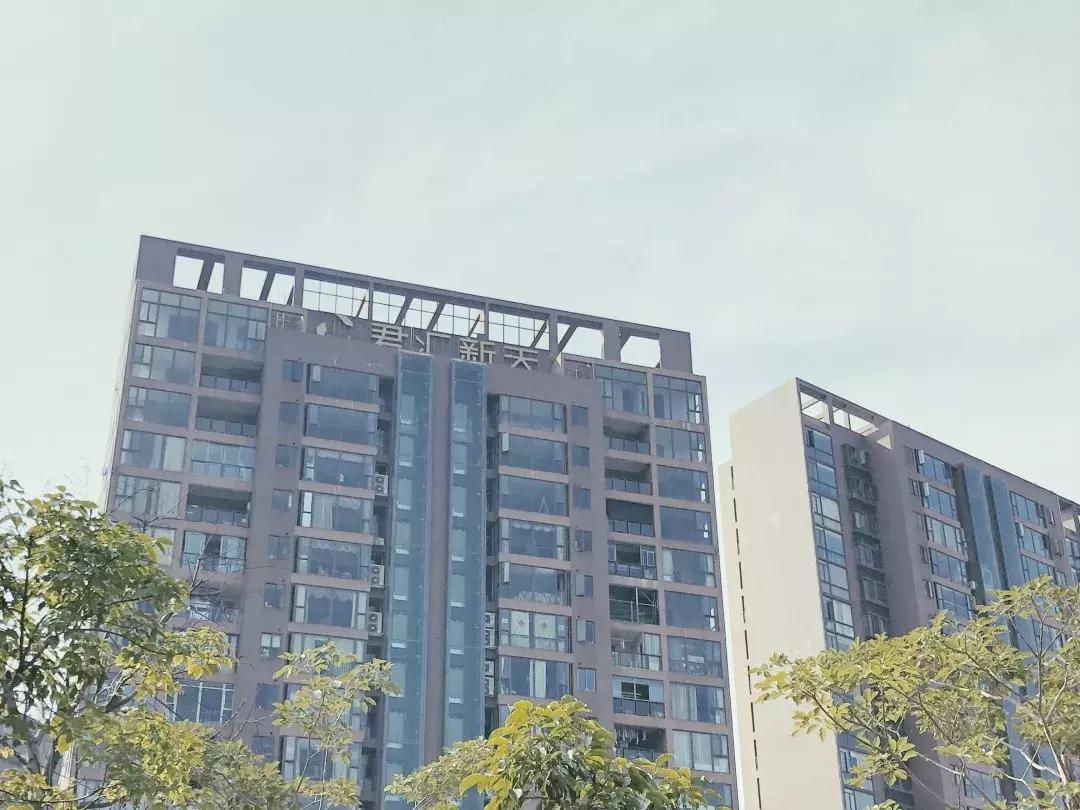 深圳湾公园这里有什么好吃的,深圳湾在哪里