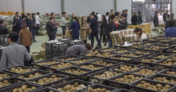 广西农村做什么项目赚钱,农村做什么项目比较有前景