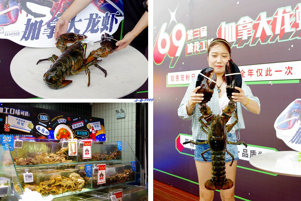 加拿大龙虾怎么吃熟的,加拿大生猛龙虾的正确吃法