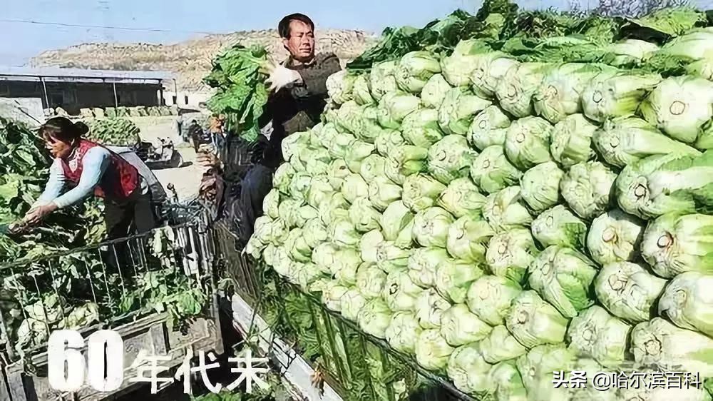 老人拿着61年前40元存款到银行,老人翻出62年前6元股金证