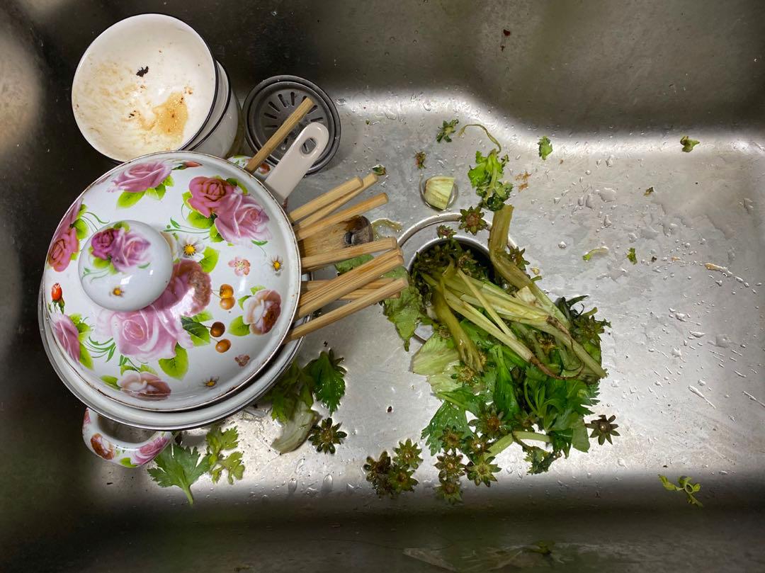 这个假期，宅在家里的我们靠着哪些好用的家电活到现在？