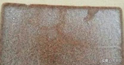 观赏鱼苗成长高级饲料，喂鱼苗吃这3样食物，养不好都难