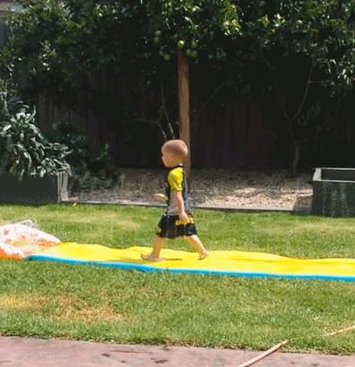 混蛋有什么意思,魂淡是什么梗