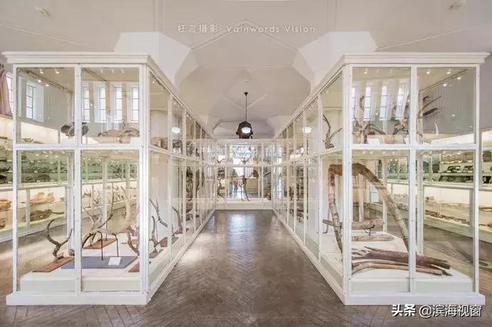 天津冬季市内一日游最佳景点,天津旅游景点推荐网红一日游