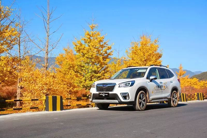 试驾全新一代森林人,森林人换代后感受