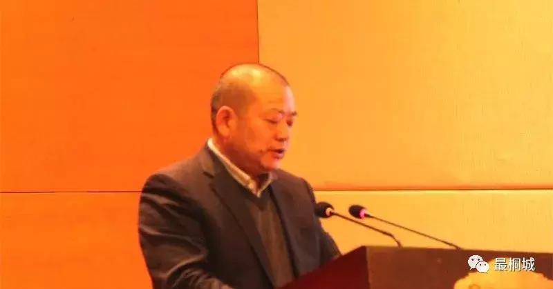 看桐城市发展怎么样,看桐城新闻