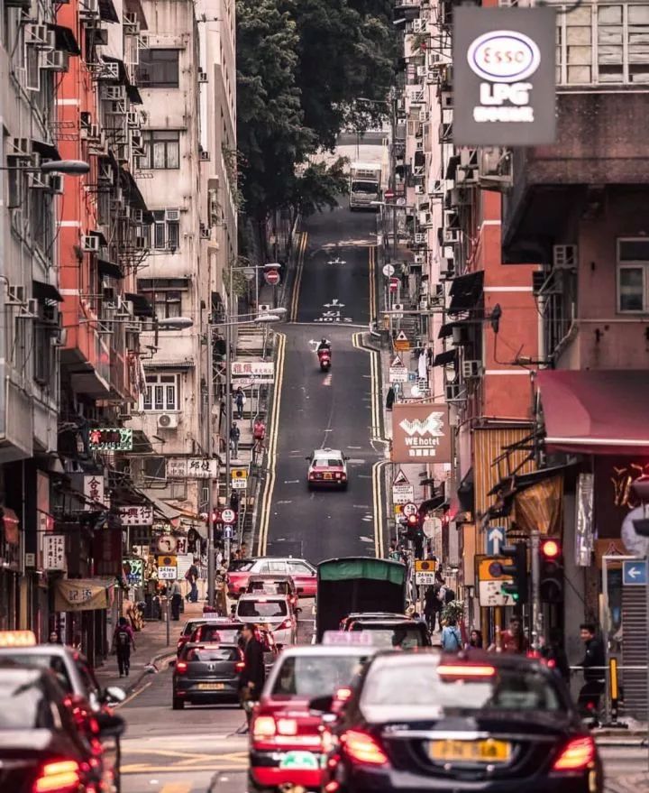 城市中难得的田园风景,城市难得一见的视频