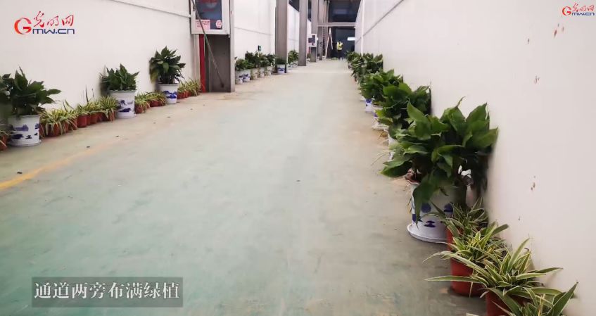 新冠肺炎资料费国家买单感人事迹,中国新冠肺炎治疗费花费