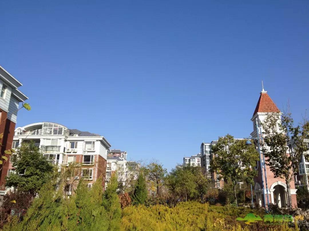 宠安宠物北京,宠安安宠物医院