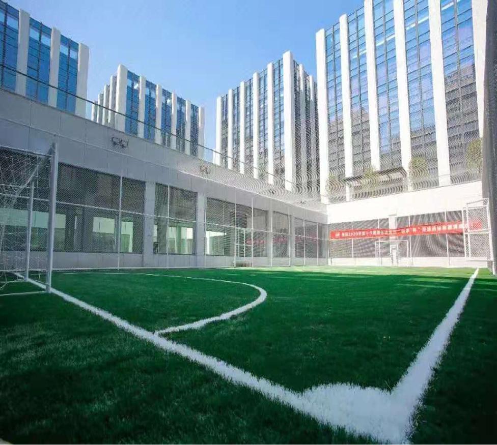 双减后素质类培训企业暴增,双减后兴趣培训机构能开吗