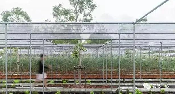 温泉康养旅居抱团养老好地方,养老康养行业前景