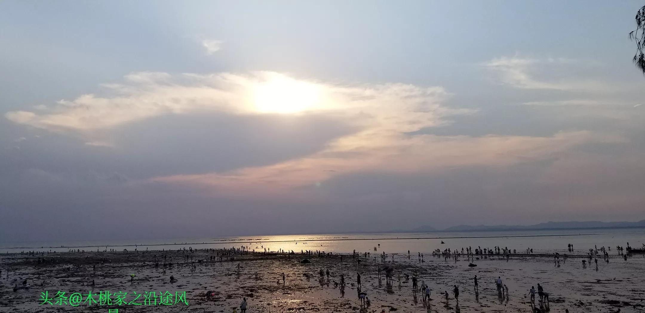 东平赶海沙滩,东平赶海最佳地方