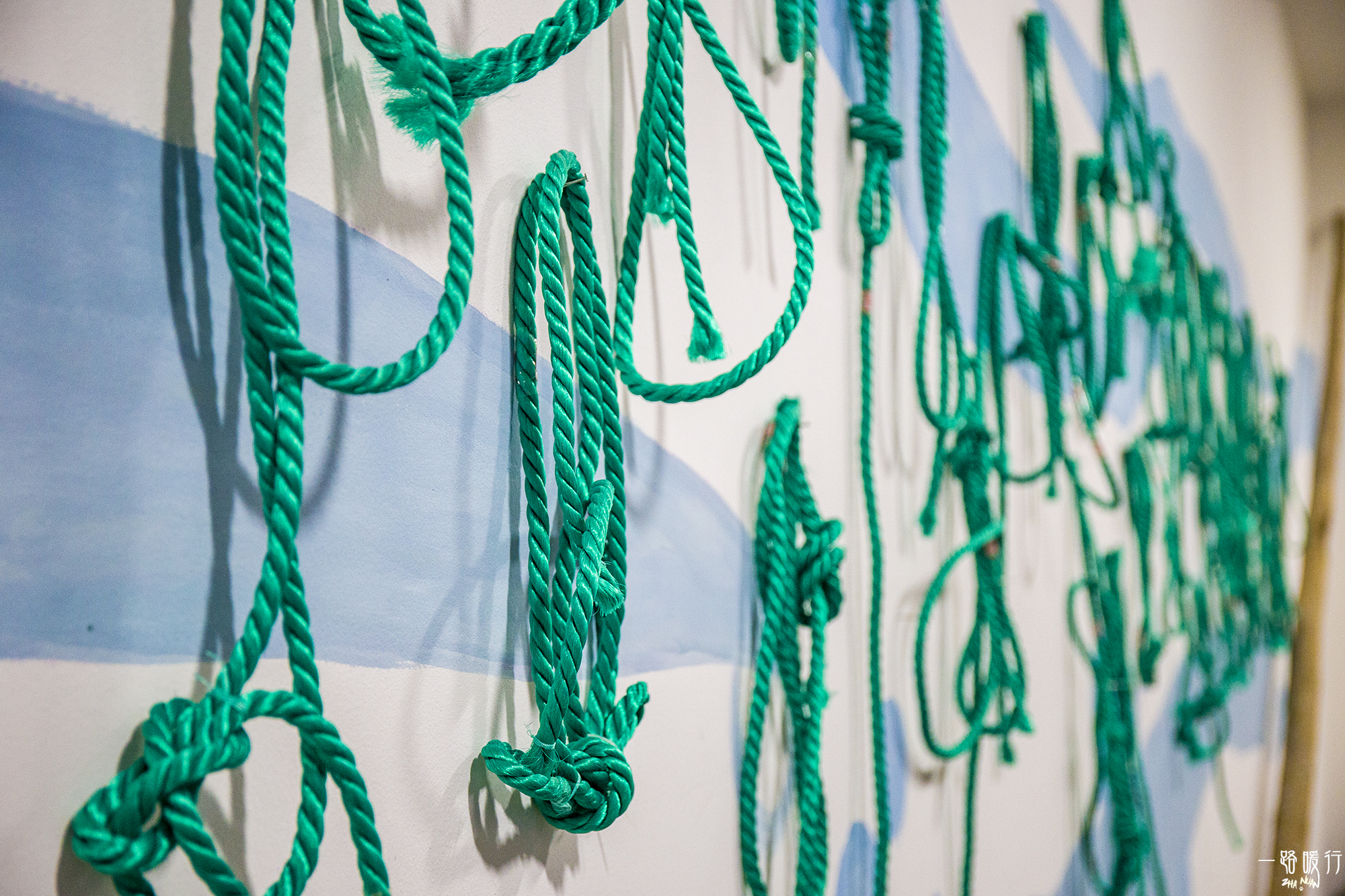 野生牡蛎王,海边野生牡蛎