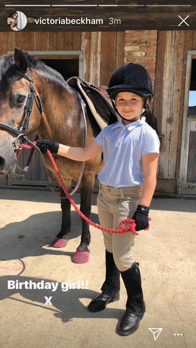 小七在学校里过生日,小七去贵族学校上学