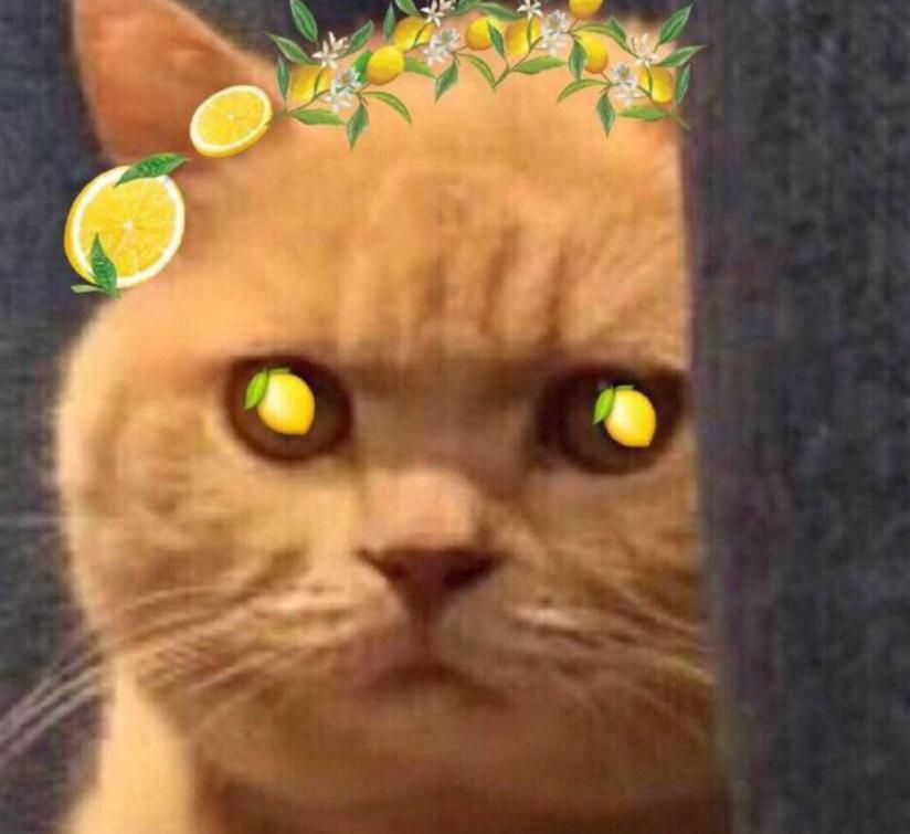 十几亿的顶级豪宅,十几亿的别墅