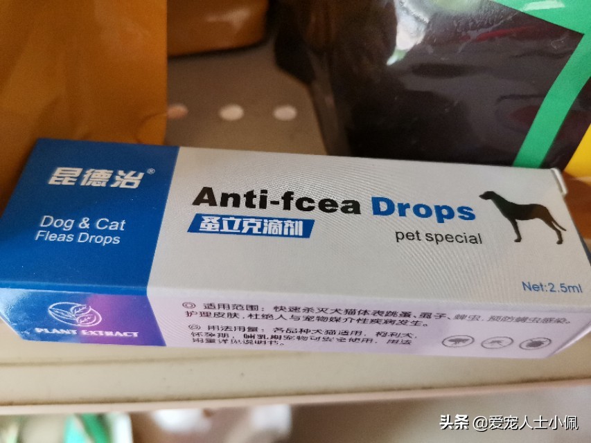 狗狗身上的蜱虫放大后是什么样,狗狗身上蜱虫用花露水能去除吗