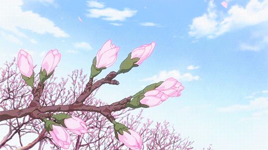 断舍离最该扔掉的70多样东西视频,2020断舍离你需要扔掉的100样东西